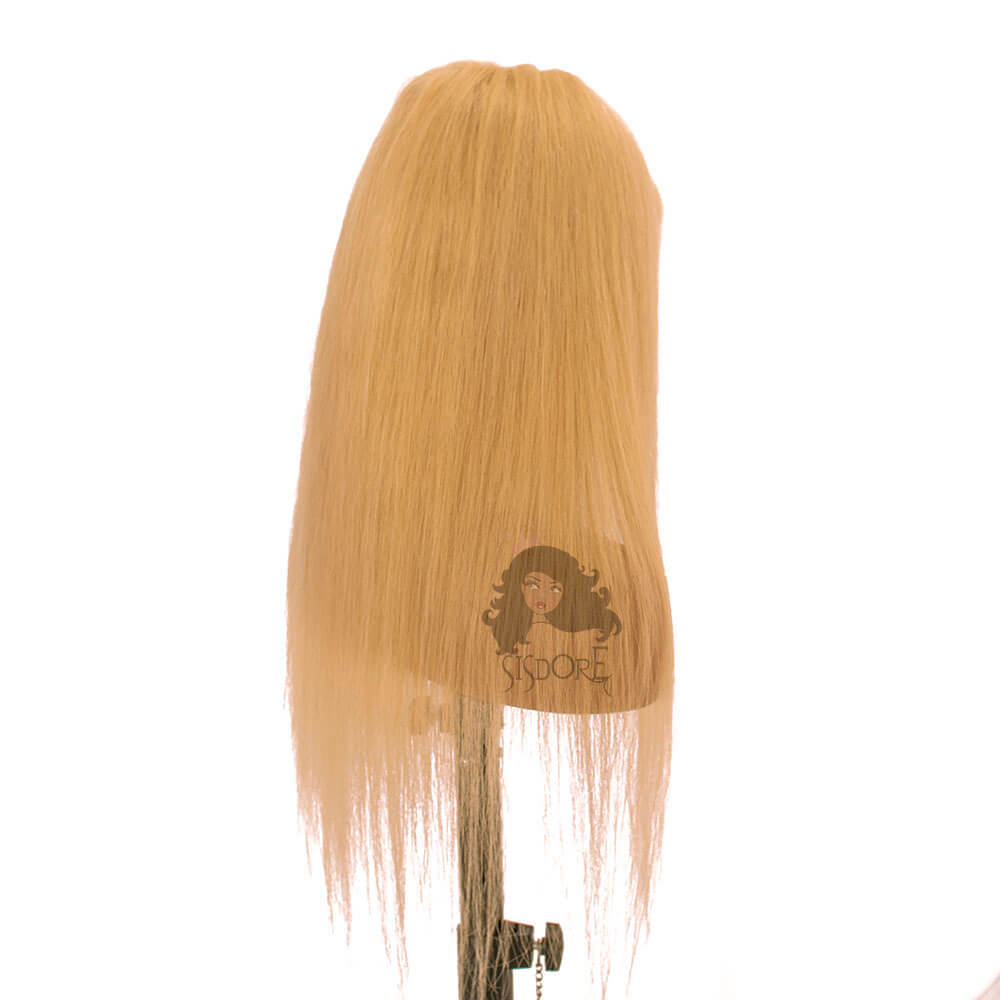 color 22 straight human hair wigs